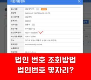 법인번호 조회 방법 몇자리?