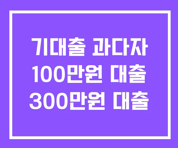 기대출 과다자 100만원 대출 300만원 대출 기대출 과다자 100만원 대출 300만원 대출