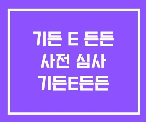 기든 E 든든 사전 심사 기든E든든 기든 E 든든 사전 심사 기든E든든