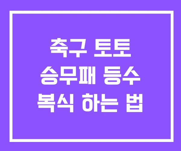 축구 토토 승무패 등수 복식 하는 법 축구 토토 승무패 등수 복식 하는 법