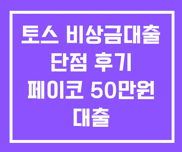 토스 비상금대출 단점 후기 페이코 50만원 대출 토스 비상금대출 단점 후기 페이코 50만원 대출
