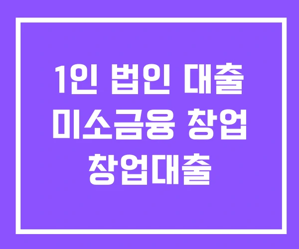 1인 법인 대출 미소금융 창업 창업대출