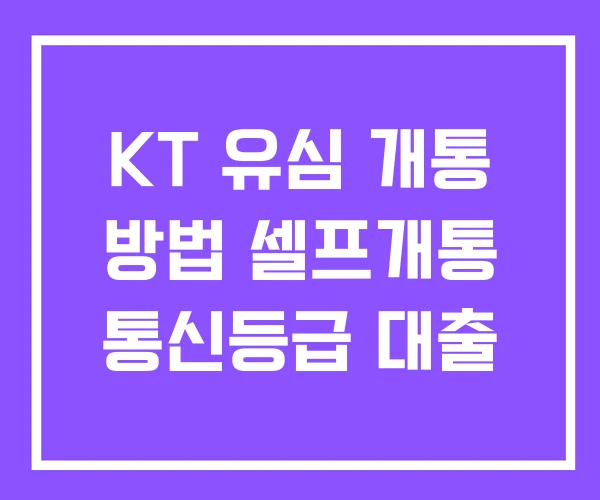 KT 유심 개통 방법 셀프개통 통신등급 대출 KT 유심 개통 방법 셀프개통 통신등급 대출