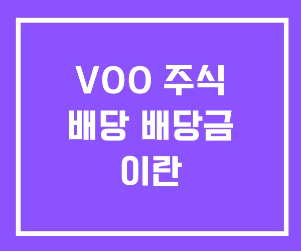 VOO 주식 배당 배당금 이란 VOO 주식 배당 배당금 이란
