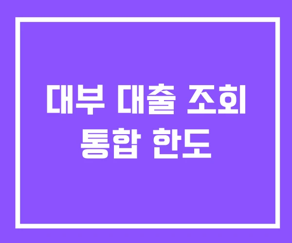 대부 대출 조회 통합 한도 대부 대출 조회 통합 한도