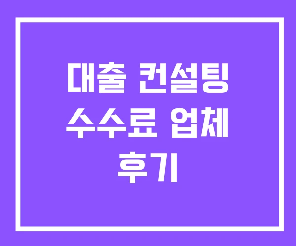 대출 컨설팅 수수료 업체 후기