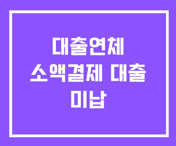 대출연체 소액결제 대출 미납