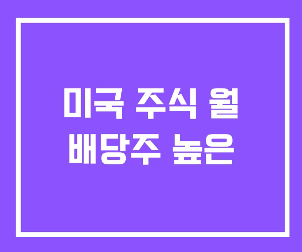 미국 주식 월 배당주 높은