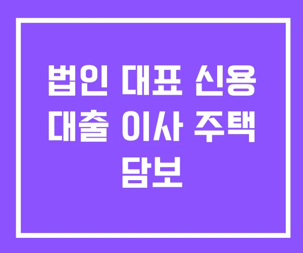 법인 대표 신용 대출 이사 주택 담보 법인 대표 신용 대출 이사 주택 담보