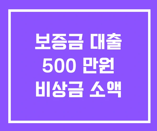 보증금 대출 500 만원 비상금 소액 보증금 대출 500 만원 비상금 소액