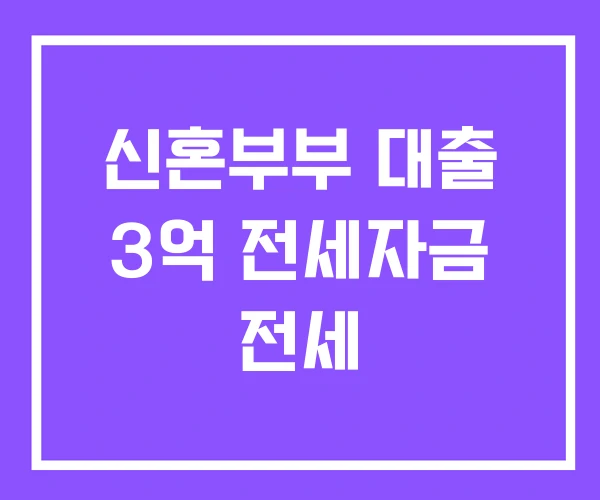 신혼부부 대출 3억 전세자금 전세 신혼부부 대출 3억 전세자금 전세