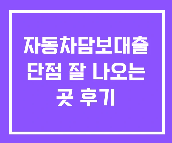 자동차담보대출 단점 잘 나오는 곳 후기