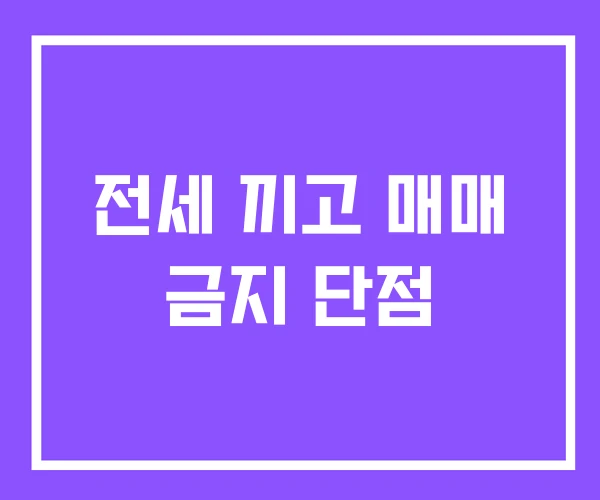 전세 끼고 매매 금지 단점 전세 끼고 매매 금지 단점