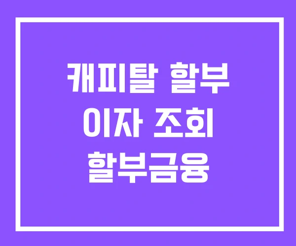 캐피탈 할부 이자 조회 할부금융 캐피탈 할부 이자 조회 할부금융