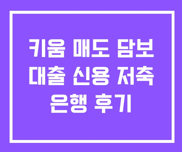 키움 매도 담보 대출 신용 저축 은행 후기 키움 매도 담보 대출 신용 저축 은행 후기