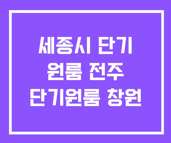 세종시 단기 원룸 전주 단기원룸 창원
