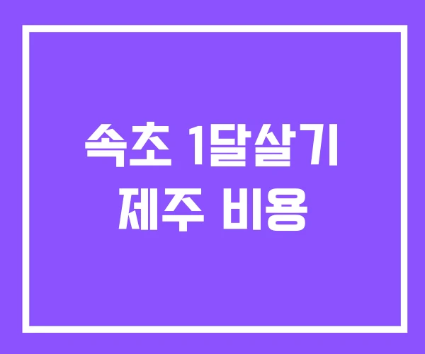 속초 1달살기 제주 비용 속초 1달살기 제주 비용