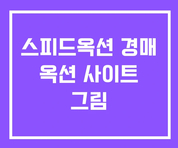 스피드옥션 경매 옥션 사이트 그림 스피드옥션 경매 옥션 사이트 그림