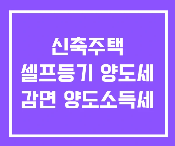 신축주택 셀프등기 양도세 감면 양도소득세 신축주택 셀프등기 양도세 감면 양도소득세