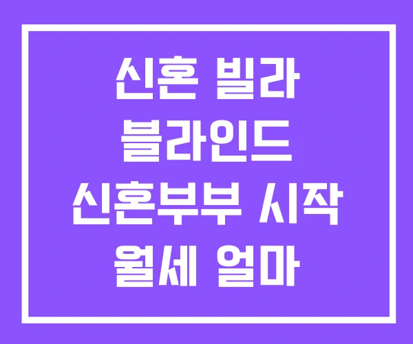 신혼 빌라 블라인드 신혼부부 시작 월세 얼마