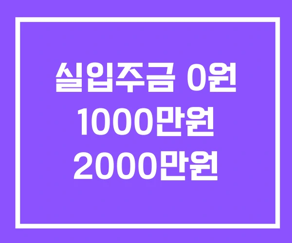 실입주금 0원 1000만원 2000만원