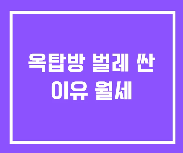 옥탑방 벌레 싼 이유 월세 옥탑방 벌레 싼 이유 월세