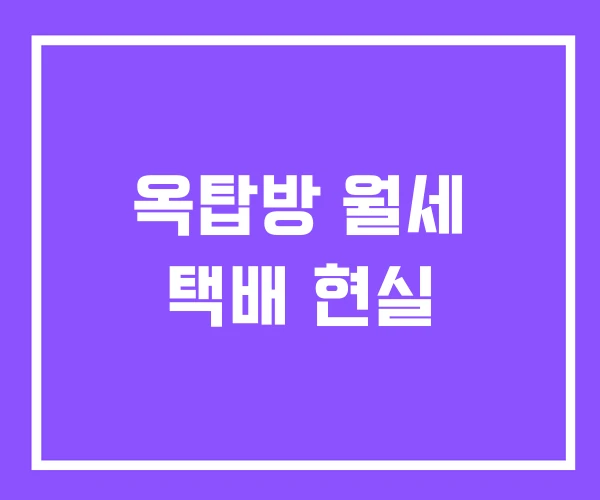 옥탑방 월세 택배 현실