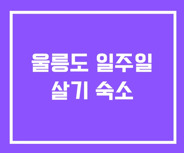 울릉도 일주일 살기 숙소 울릉도 일주일 살기 숙소