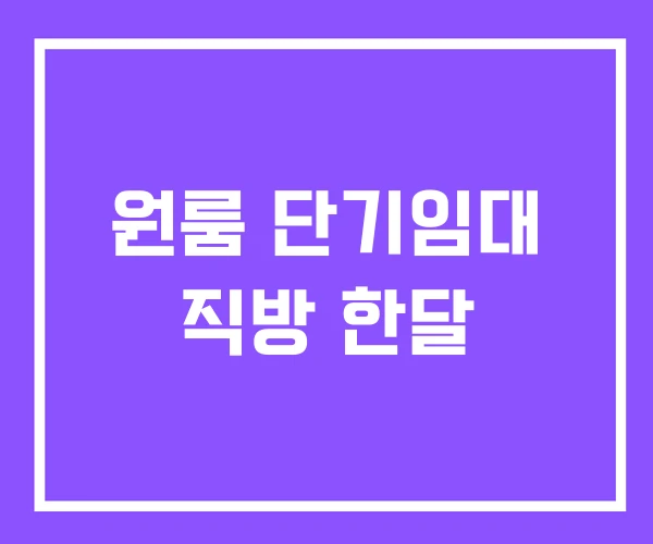 원룸 단기임대 직방 한달 원룸 단기임대 직방 한달