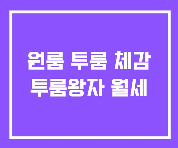 원룸 투룸 체감 투룸왕자 월세