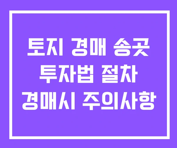 토지 경매 송곳 투자법 절차 경매시 주의사항