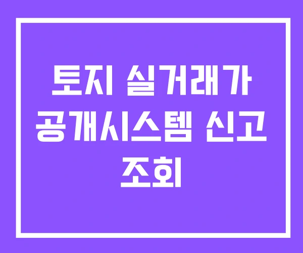 토지 실거래가 공개시스템 신고 조회