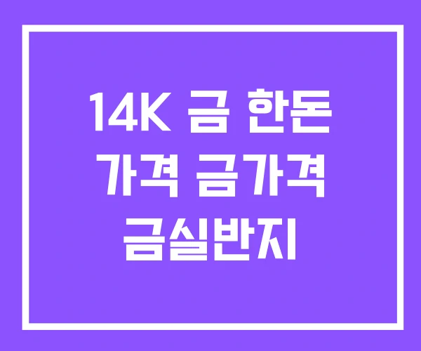 14K 금 한돈 가격 금가격 금실반지