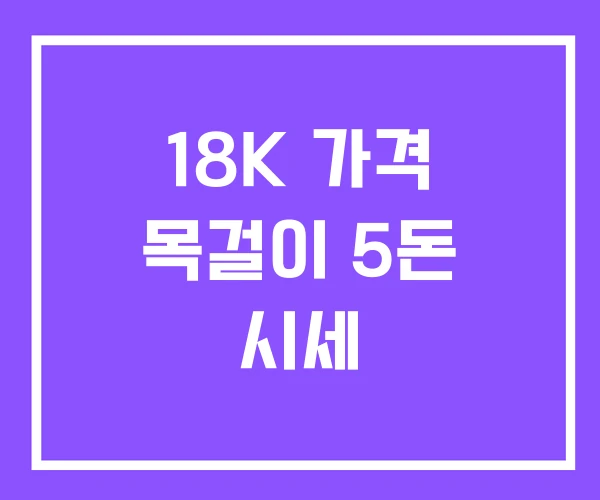 18K 가격 목걸이 5돈 시세