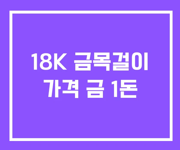 18K 금목걸이 가격 금 1돈