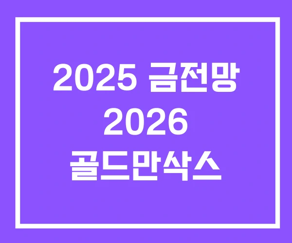 2025 금전망 2026 골드만삭스