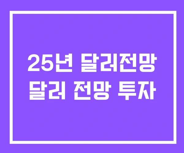 25년 달러전망 달러 전망 투자