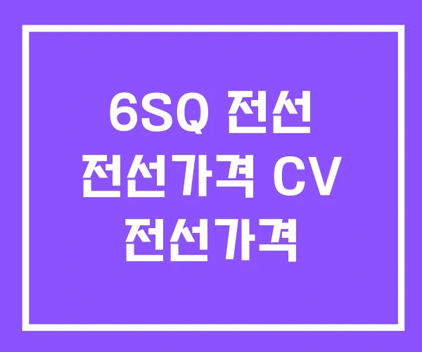 6SQ 전선 전선가격 CV 전선가격 6SQ 전선 전선가격 CV 전선가격
