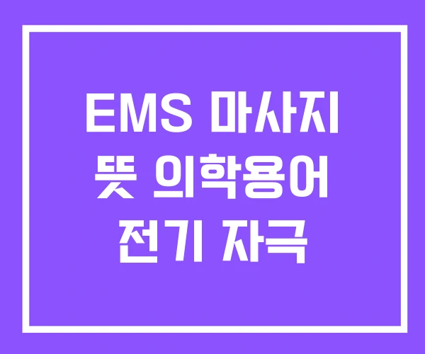 EMS 마사지 뜻 의학용어 전기 자극