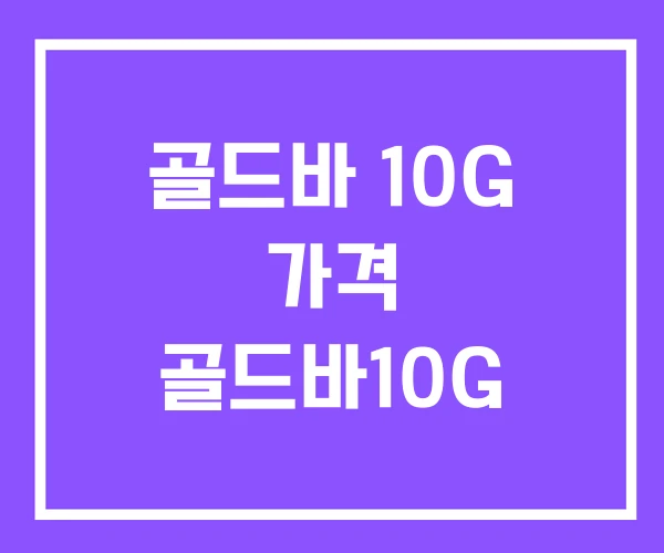골드바 10G 가격 골드바10G 골드바 10G 가격 골드바10G