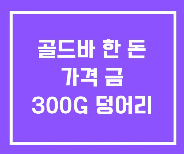 골드바 한 돈 가격 금 300G 덩어리