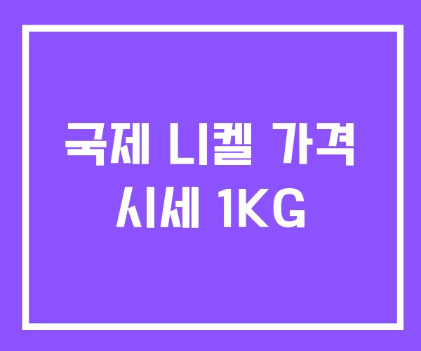 국제 니켈 가격 시세 1KG