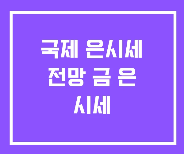 국제 은시세 전망 금 은 시세