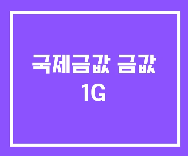 국제금값 금값 1G