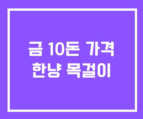 금 10돈 가격 한냥 목걸이