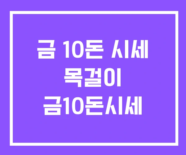 금 10돈 시세 목걸이 금10돈시세