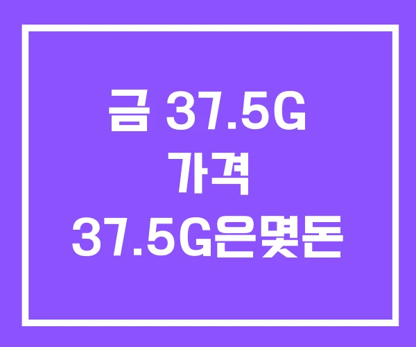 금 37.5G 가격 37.5G은몇돈