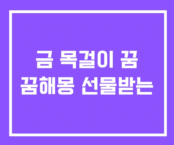 금 목걸이 꿈 꿈해몽 선물받는