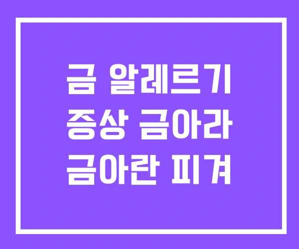 금 알레르기 증상 금아라 금아란 피겨