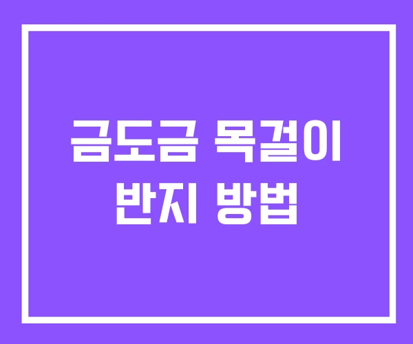 금도금 목걸이 반지 방법 금도금 목걸이 반지 방법